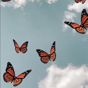 Meet your Posher, Jossie